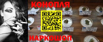 гашик Кунгур