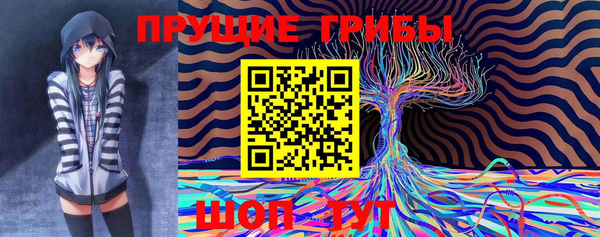 Псилоцибиновые грибы GOLDEN TEACHER  Вход с VPN  сколько стоит  Кимовск 